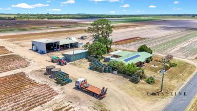 Commercial Farming For Sale - QLD - Moore Park Beach - 4670 - Live Near the Sea with 89acre Farm, Home, Sheds & 134meg of Water Allocation  (Image 2)