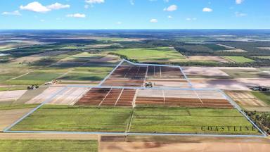 Commercial Farming For Sale - QLD - Moore Park Beach - 4670 - Live Near the Sea with 174.18acre Farm, Home, Sheds & 256meg of Water Allocation  (Image 2)