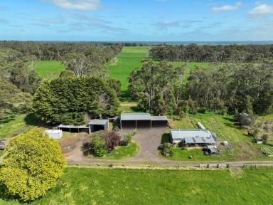 Livestock For Sale - VIC - Irrewillipe - 3249 - STUNNING COLAC – BLUE RIBBON OTWAY DISTRICT PROPERTY  (Image 2)