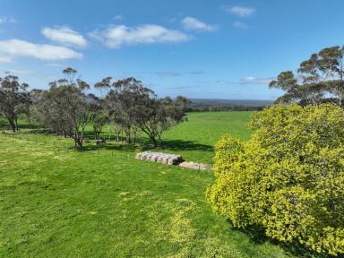 Livestock For Sale - VIC - Irrewillipe - 3249 - STUNNING COLAC – BLUE RIBBON OTWAY DISTRICT PROPERTY  (Image 2)