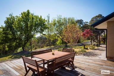 Acreage/Semi-rural For Sale - NSW - Candelo - 2550 - Quality Rammed Earth Home in Bega Valley  (Image 2)