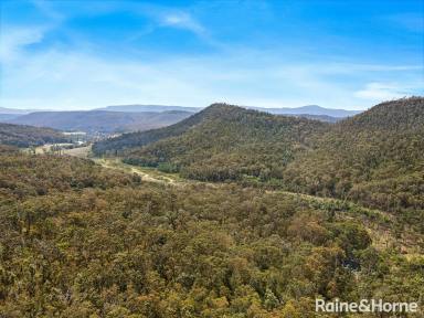 Residential Block For Sale - NSW - Barringella - 2540 - 407 Acres of Pristine Native Bushland With Passive Income  (Image 2)