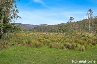 Residential Block For Sale - NSW - Barringella - 2540 - 407 Acres of Pristine Native Bushland With Passive Income  (Image 2)