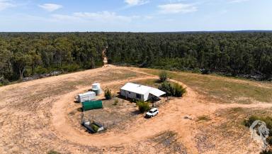 Lifestyle For Sale - NSW - Jacks Creek - 2390 - ACREAGE - COMES WITH EVERYTHING, JUST BRING YOUR CLOTHES!  (Image 2)