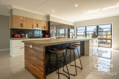 House For Sale - NSW - Glen Innes - 2370 - Beautifully Designed and Built Home on 8 Acres  (Image 2)