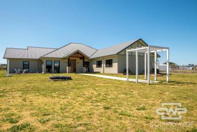 House For Sale - NSW - Glen Innes - 2370 - Beautifully Designed and Built Home on 8 Acres  (Image 2)