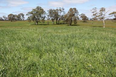 Other (Rural) For Sale - VIC - Apsley - 3319 - Step in With Lease & Purchase Option  (Image 2)