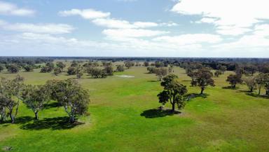 Other (Rural) For Sale - VIC - Apsley - 3319 - $2,500,000  (Image 2)