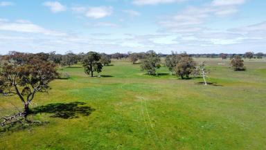 Other (Rural) For Sale - VIC - Apsley - 3319 - $2,500,000  (Image 2)