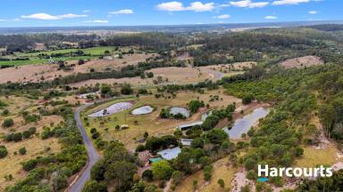 House For Sale - QLD - Bungadoo - 4671 - WHAT MORE COULD YOU NEED !!!!!!  (Image 2)