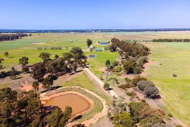 Lifestyle For Sale - NSW - Temora - 2666 - OPPORTUNITY KNOCKS - 118*ac, TOWN WATER, TAR ROAD FRONTAGE  (Image 2)