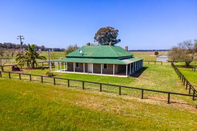 Lifestyle For Sale - NSW - Temora - 2666 - OPPORTUNITY KNOCKS - 118*ac, TOWN WATER, TAR ROAD FRONTAGE  (Image 2)