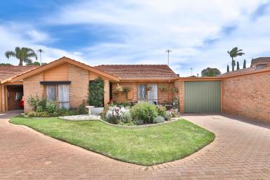 Townhouse For Sale - VIC - Mildura - 3500 - CHRISTMAS HAS COME EARLY  (Image 2)