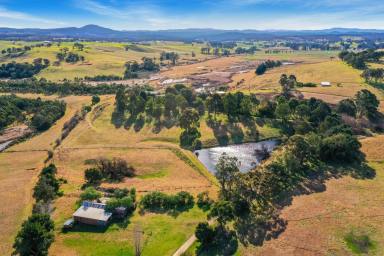 Other (Rural) For Sale - VIC - Wy Yung - 3875 - 'CLIFTON PARK'  (Image 2)