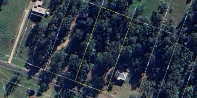 Residential Block For Sale - NSW - Copmanhurst - 2460 - ONE ACRE HOMESITE IN VILLAGE OF COPMANHURST  (Image 2)