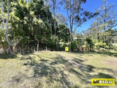 Residential Block For Sale - NSW - Copmanhurst - 2460 - ONE ACRE HOMESITE IN VILLAGE OF COPMANHURST  (Image 2)