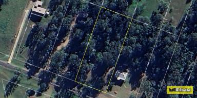 Residential Block For Sale - NSW - Copmanhurst - 2460 - ONE ACRE HOMESITE IN VILLAGE OF COPMANHURST  (Image 2)