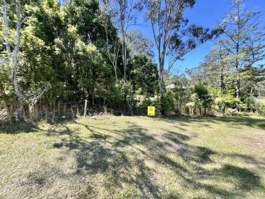 Residential Block For Sale - NSW - Copmanhurst - 2460 - ONE ACRE HOMESITE IN VILLAGE OF COPMANHURST  (Image 2)