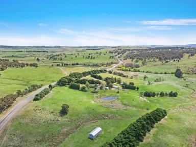 Mixed Farming Sold - NSW - Crookwell - 2583 - Ticks all the boxes!  (Image 2)