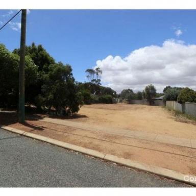 Residential Block Sold - WA - Narrogin - 6312 - Land for Sale Narrogin  (Image 2)