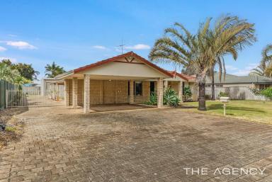 House For Sale - WA - Dudley Park - 6210 - Endless Potential Opposite Tranquil Parklands, Suited To Both Investors and Owner Occupiers  (Image 2)