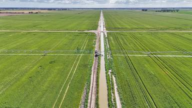 Cropping For Sale - VIC - Myall - 3579 - Irrigated Cropping with Renewable Energy Potential  (Image 2)