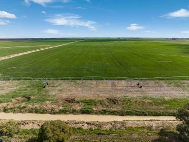 Cropping For Sale - VIC - Myall - 3579 - Irrigated Cropping with Renewable Energy Potential  (Image 2)