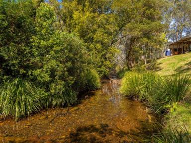 Lifestyle Sold - NSW - Hillville - 2430 - NATURAL PARADISE BACKING BO BO CREEK  (Image 2)