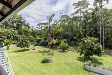 House For Sale - QLD - Mossman - 4873 - 6 ACRES WITH PRIVATE CREEK  (Image 2)