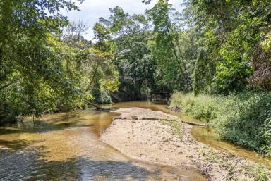 House For Sale - QLD - Mossman - 4873 - 6 ACRES WITH PRIVATE CREEK  (Image 2)