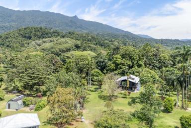 House For Sale - QLD - Mossman - 4873 - 6 ACRES WITH PRIVATE CREEK  (Image 2)