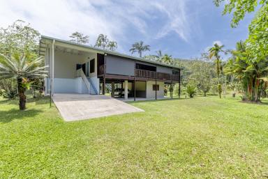 House For Sale - QLD - Mossman - 4873 - 6 ACRES WITH PRIVATE CREEK  (Image 2)