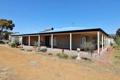 Lifestyle For Sale - WA - Wagin - 6315 - Nature Retreat  (Image 2)