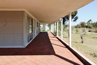 Lifestyle For Sale - WA - Wagin - 6315 - Nature Retreat  (Image 2)