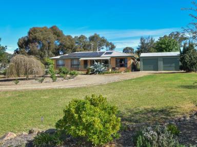 House For Sale - NSW - Young - 2594 - Brick Veneer Home on 4.9acs* With Plenty Of Shedding A Bore & Town Water  (Image 2)