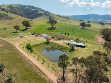 House For Sale - VIC - Swifts Creek - 3896 - A SPECIAL HIGH COUNTRY FARMLET  (Image 2)