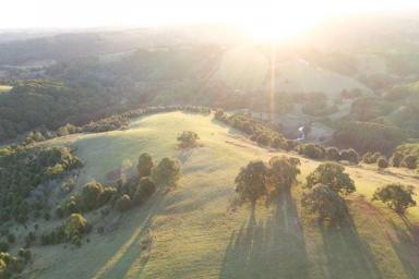 Residential Block For Sale - NSW - Eureka - 2480 - Build your dream lifestyle home in the hinterland of Byron Bay  (Image 2)