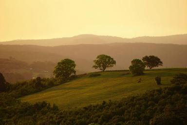 Residential Block For Sale - NSW - Eureka - 2480 - Build your dream lifestyle home in the hinterland of Byron Bay  (Image 2)