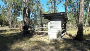 Residential Block For Sale - QLD - Goranba - 4421 - 463-Acre Rural Retreat in Tranquil Goranba  (Image 2)