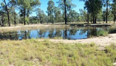 Residential Block For Sale - QLD - Goranba - 4421 - 463-Acre Rural Retreat in Tranquil Goranba  (Image 2)