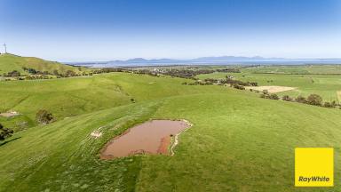 Other (Rural) For Sale - VIC - Toora - 3962 - Grazing/Turnout block with killer views!!  (Image 2)