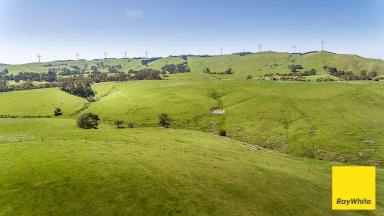 Other (Rural) For Sale - VIC - Toora - 3962 - Grazing/Turnout block with killer views!!  (Image 2)