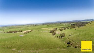 Other (Rural) For Sale - VIC - Toora - 3962 - Grazing/Turnout block with killer views!!  (Image 2)