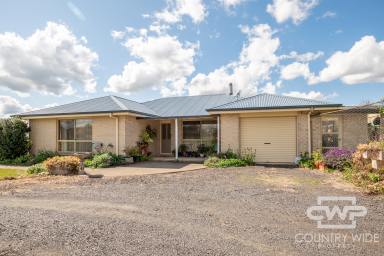 House For Sale - NSW - Glen Innes - 2370 - Family Home situated on 5210 m2  (Image 2)