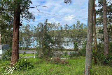 Residential Block For Sale - NSW - Tarbuck Bay - 2428 - Enjoy Your Views  (Image 2)