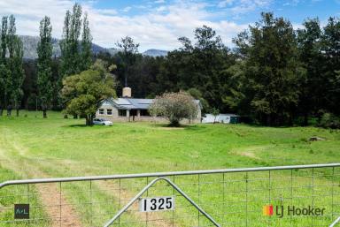 Acreage/Semi-rural Sold - NSW - Buckenbowra - 2536 - Valley Of Dreams!  (Image 2)