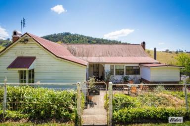 Livestock For Sale - NSW - Candelo - 2550 - "Inglewood Farm", Candelo – A Unique Opportunity Awaits!  (Image 2)