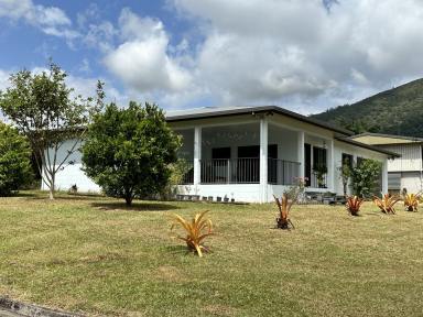 House For Sale - QLD - Tully - 4854 - Perfect Family Home or Investment Property in Tully!  (Image 2)