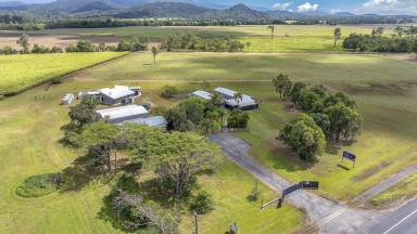 House For Sale - QLD - Whitsundays - 4802 - Freehold Pet Resort  (Image 2)