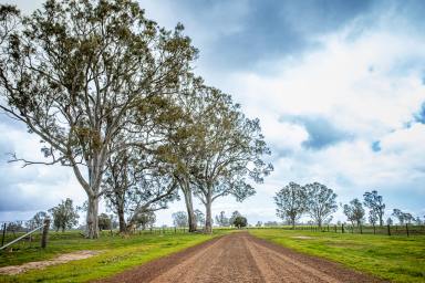 Mixed Farming For Sale - VIC - Charam - 3318 - Oakbank (Image 2)